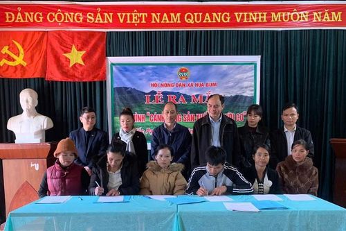 Hội Nông dân xã Hua Bum ra mắt Mô hình 'Cánh đồng sản xuất lúa hữu cơ'