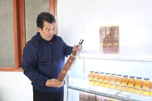 Liên kết để phát triển