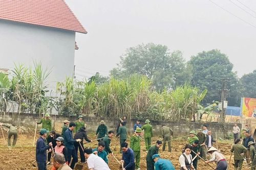 Xã Lâm Giang phát động phong trào 'Trồng hoa đón Tết, gắn kết lòng dân'