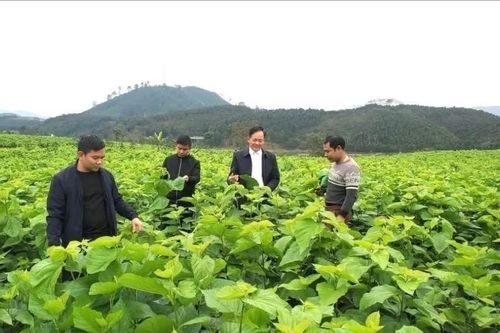 Sinh kế bền vững - trụ cột để nông thôn mới phát triển thực chất