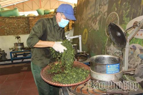 Thanh Ba nỗ lực nâng cao thu nhập cho người dân