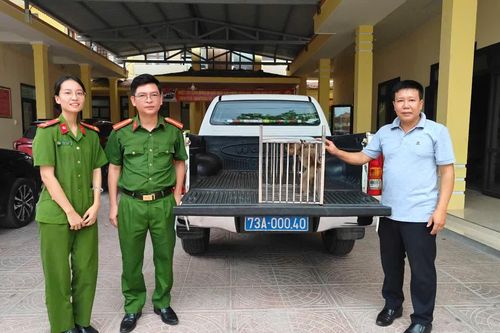 Tỉ lệ cứu hộ động vật hoang dã thành công đạt 93%