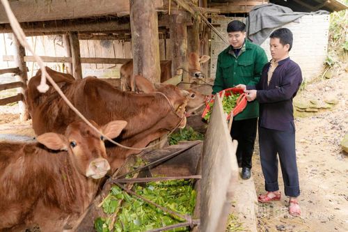 Lan tỏa mô hình hay cách làm sáng tạo ở cơ sở