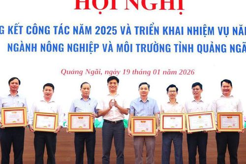 Quảng Ngãi: Năm 2026 tiếp tục duy trì tăng trưởng, nâng cao hiệu quả sản xuất nông nghiệp, quản lý chặt chẽ tài nguyên, bảo vệ môi trường bền vững