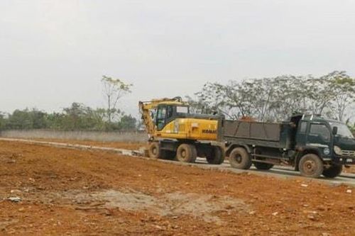 Phú Cát ngăn chặn phân lô trái phép trên đất chè Long Phú