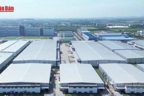 AMRO dự báo Việt Nam dẫn đầu tăng trưởng ASEAN+3 năm 2026