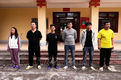 Khởi tố điều tra vụ án 'Tổ chức cho người khác ở lại Việt Nam trái phép'