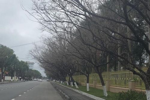 Về theo tháng Chạp…