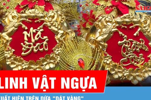 Linh vật ngựa vàng xuất hiện trên dừa 'dát vàng'