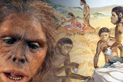 Khám phá xương Homo habilis cổ đại giúp hiểu rõ nguồn gốc loài người