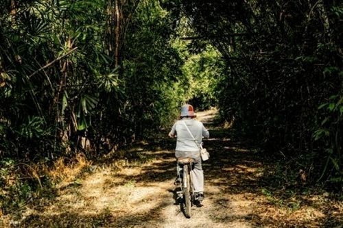 Việt Nam trước cơ hội định vị 'vùng đất chữa lành'