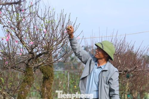 Nghề 'đánh cược' với ông trời