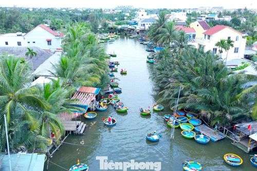Có gì ở ngôi làng giữa rừng dừa nước được Forbes vinh danh?