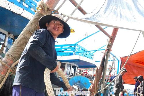 Cảng cá lớn nhất miền Trung nhộn nhịp chuyến biển ngày áp Tết