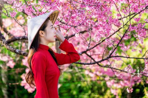 Tiết khí là gì? Ý nghĩa của 24 tiết khí trong năm