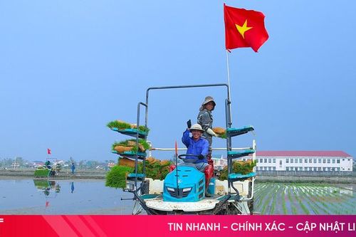 Chủ động sản xuất, tạo đột phá trong vụ xuân 2026