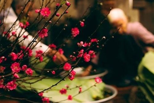 Đợi Tết