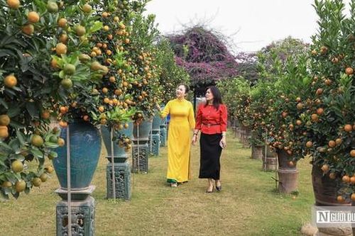 Hà Nội: Người dân hào hứng trải nghiệm sắc Xuân Bính Ngọ
