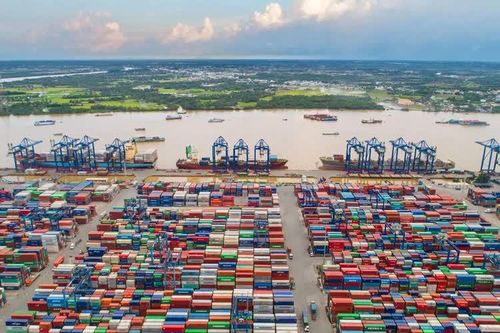 Bỏ nhiều điều kiện kinh doanh vận tải biển quốc tế, doanh nghiệp được nới 'rào cản'