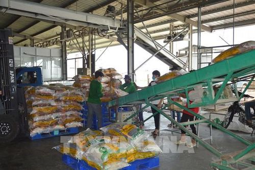 Giảm chi phí, tăng niềm tin: Chiến lược hút doanh nghiệp của Đồng Tháp