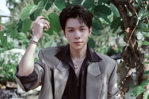 Kết thúc buồn cho Anh Tú