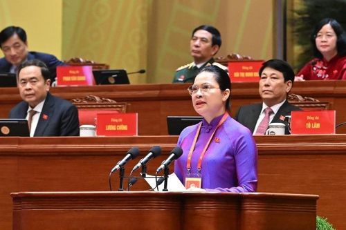 Đại hội XIV: Phát huy đại đoàn kết toàn dân tộc, tạo động lực phát triển đất nước