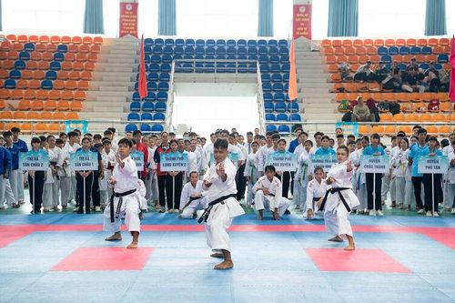 Karate An Giang hướng đến thành tích cao