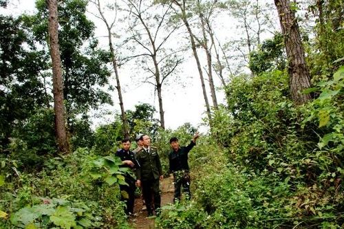 Bắc Ninh: Tết trồng cây Xuân Bính Ngọ diễn ra từ ngày 23/2 (mồng 7 Tết)