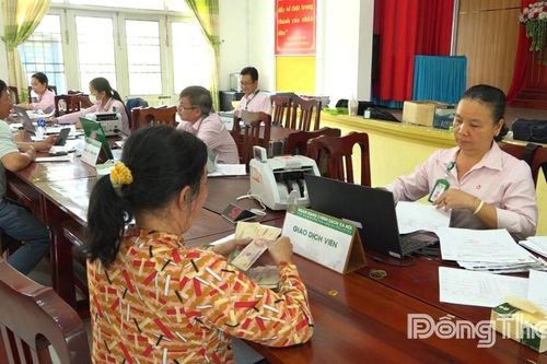 Phòng Giao dịch Ngân hàng Chính sách xã hội Sa Đéc: Giải ngân vốn ưu đãi cho hộ trồng hoa - kiểng