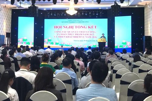 Tổng kết công tác quản lý chất lượng, an toàn thực phẩm năm 2025