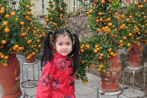 Phường Cam Đường tổ chức 3 điểm hội chợ hoa xuân