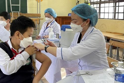 Ngành y tế Lâm Đồng chủ động phòng bệnh viêm não Nhật Bản
