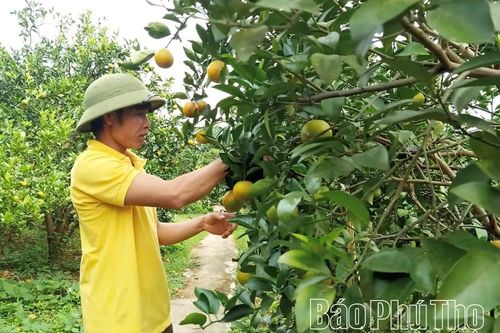 Siết chặt quản lý vật tư nông nghiệp