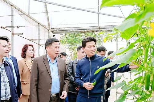 Phó Chủ tịch UBND tỉnh Đinh Công Sứ kiểm tra một số mô hình sản xuất nông nghiệp