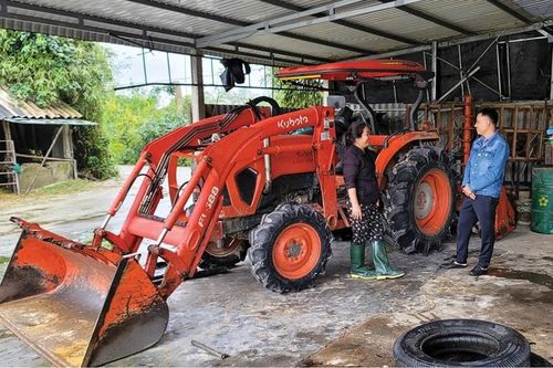 Điển hình sản xuất, kinh doanh giỏi ở vùng cát