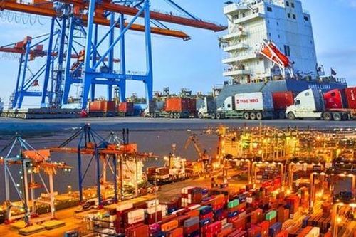 Nhờ cú hích cổ tức, Đầu tư và Phát triển Cảng Đình Vũ (DVP) báo lãi quý IV/2025 tăng vọt 103%
