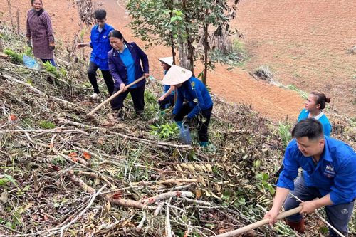 Tăng cường công tác quản lý, bảo vệ, phát triển rừng