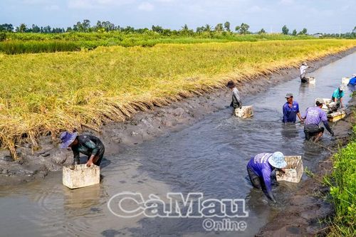 Thay đổi nhỏ, giá trị lớn