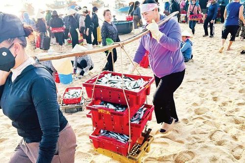 Nâng cao chất lượng công tác quản lý khai thác và nuôi trồng thủy sản