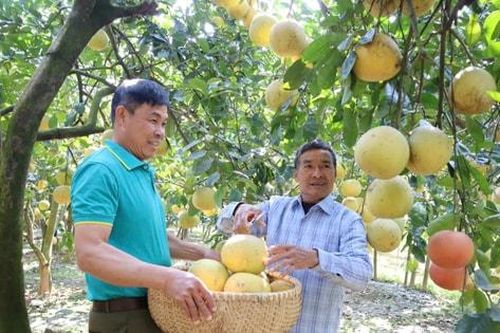 Bứt phá ở nông thôn Hà Nội trước thềm Đại hội Đảng