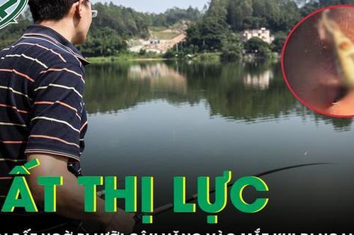 Đi ngang hồ câu, bé trai bất ngờ bị lưỡi câu văng vào mắt và có nguy cơ mất thị lực vĩnh viễn