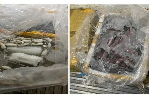 Ngăn chặn hơn 580kg thủy sản không rõ nguồn gốc sắp đưa ra thị trường