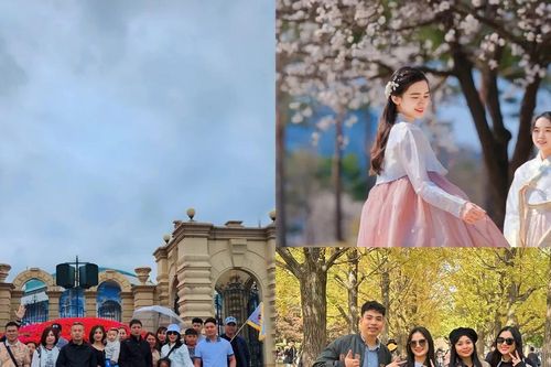 'Giải mã' sức hút du lịch Hàn Quốc dịp đầu năm
