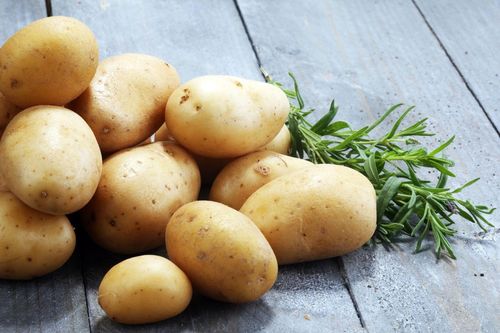 Vì sao không nên ăn khoai tây mọc mầm?