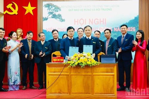 Lào Cai giải ngân hơn 282 tỷ đồng dịch vụ môi trường rừng trong năm 2025