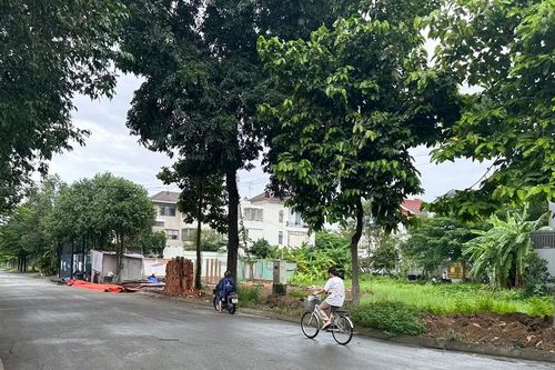 Chủ tịch UBND TPHCM chỉ đạo triển khai bảng giá đất lần đầu