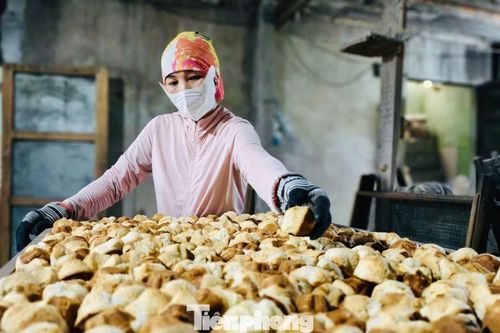 'Đột nhập' lò bánh thuẫn trăm năm ngày áp Tết