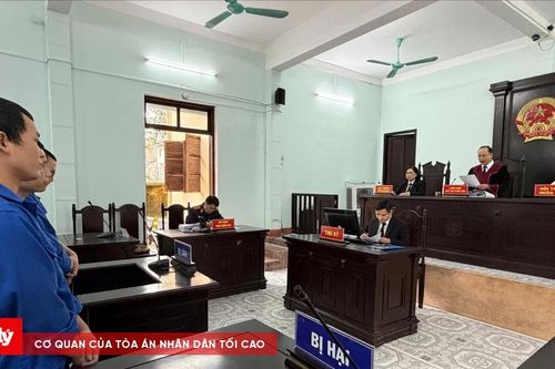 Nhậu xong mua ma túy dùng chung, cả nhóm lĩnh án