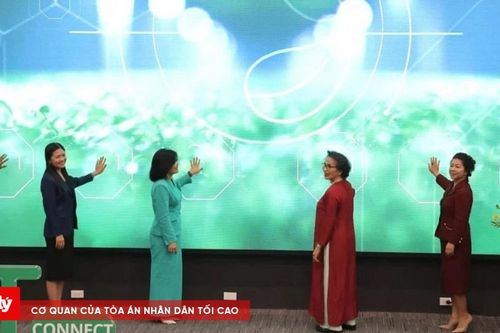 Ra mắt cổng thông tin điện tử AFT Connect