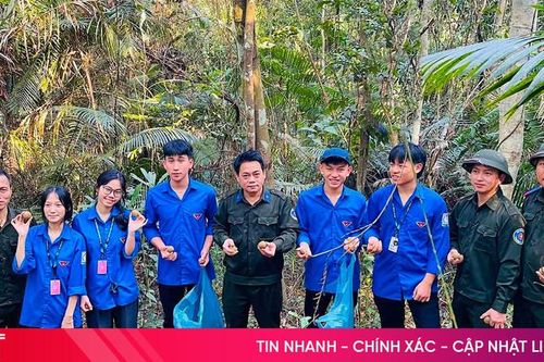 Phong trào làm 'bom hạt giống' - hành động nhỏ, ý nghĩa lớn